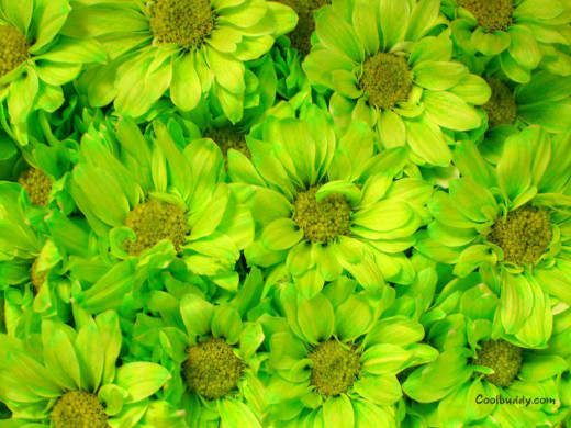 421710 (a): :1024x768